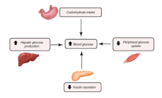 Understanding Your Condition